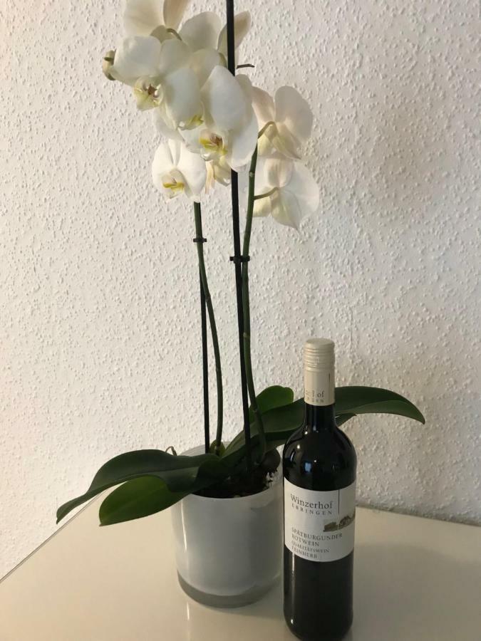 Ebringen Ferienwohnung Gasser מראה חיצוני תמונה